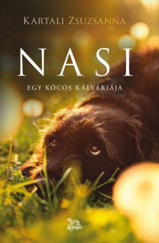 Nasi 